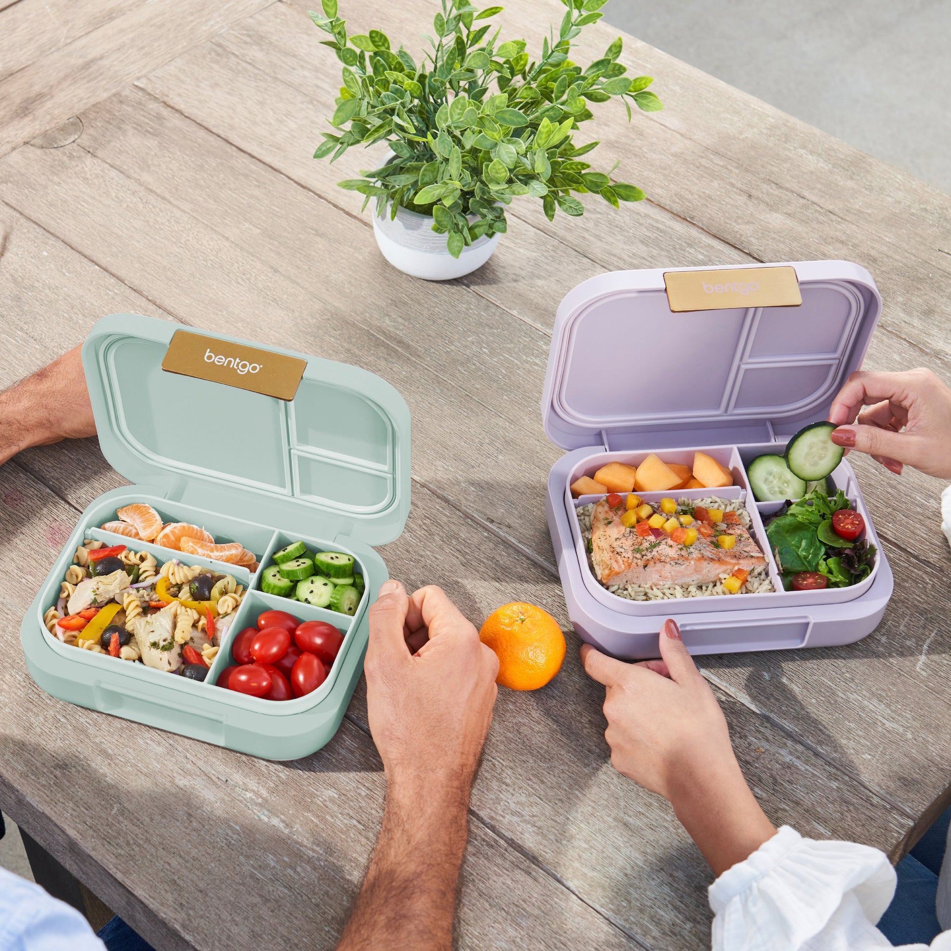 bentgo-modern-lunch-box-2-pack-w4 COSTCOBMCPRODUCTIMAGE_2.jpg